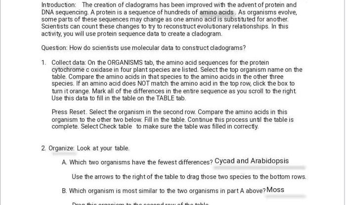 Cladograms gizmo answer key pdf