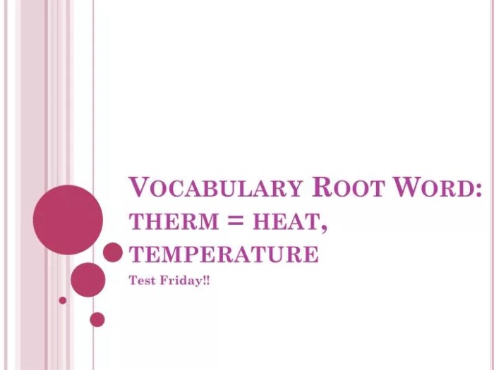 Words with root word therm