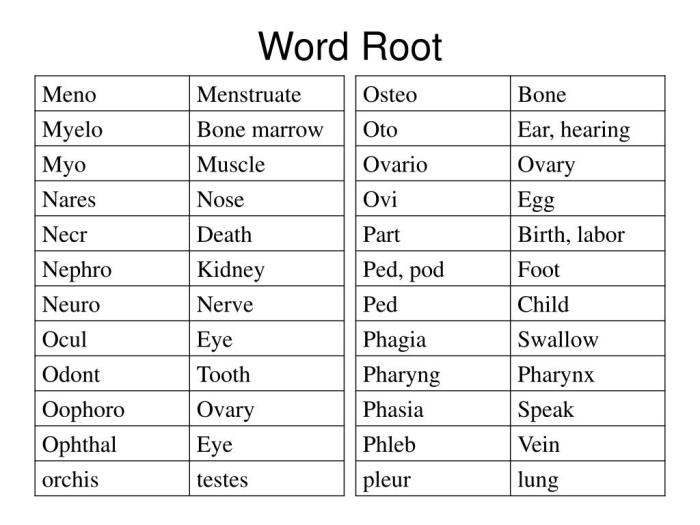 Words with root word therm