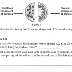 Relationships and biodiversity lab answer key pdf