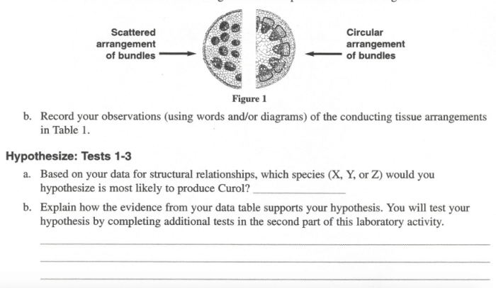 Relationships and biodiversity lab answer key pdf