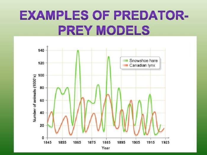 Relationships and biodiversity lab answer key pdf