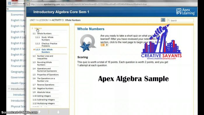 Apex learning algebra 1 semester 1 answers pdf